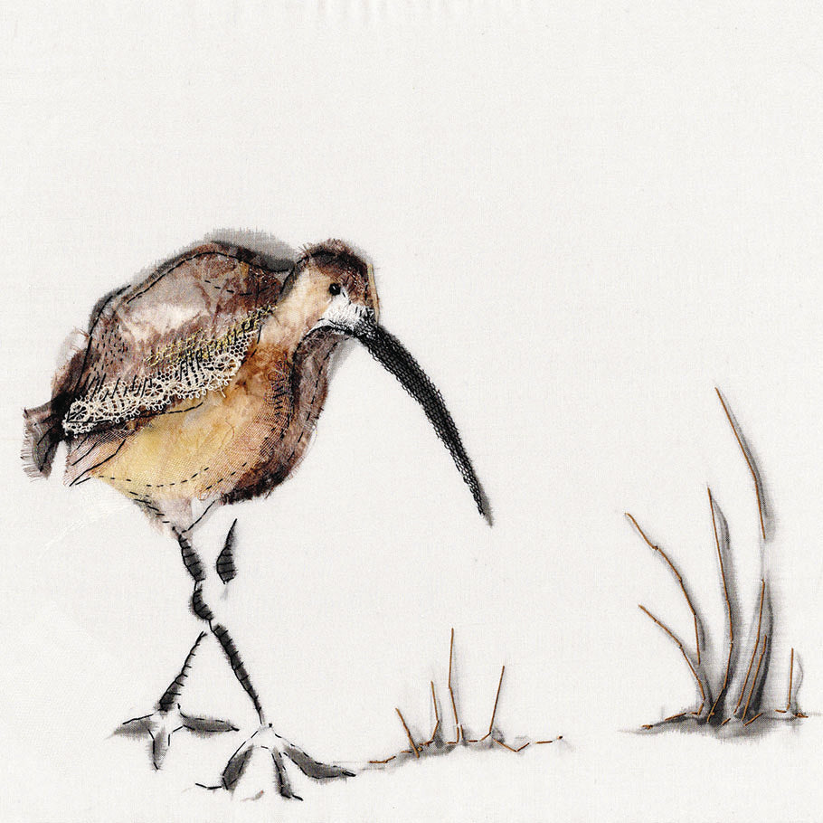 The Wanderer, Curlew - Greeting Card