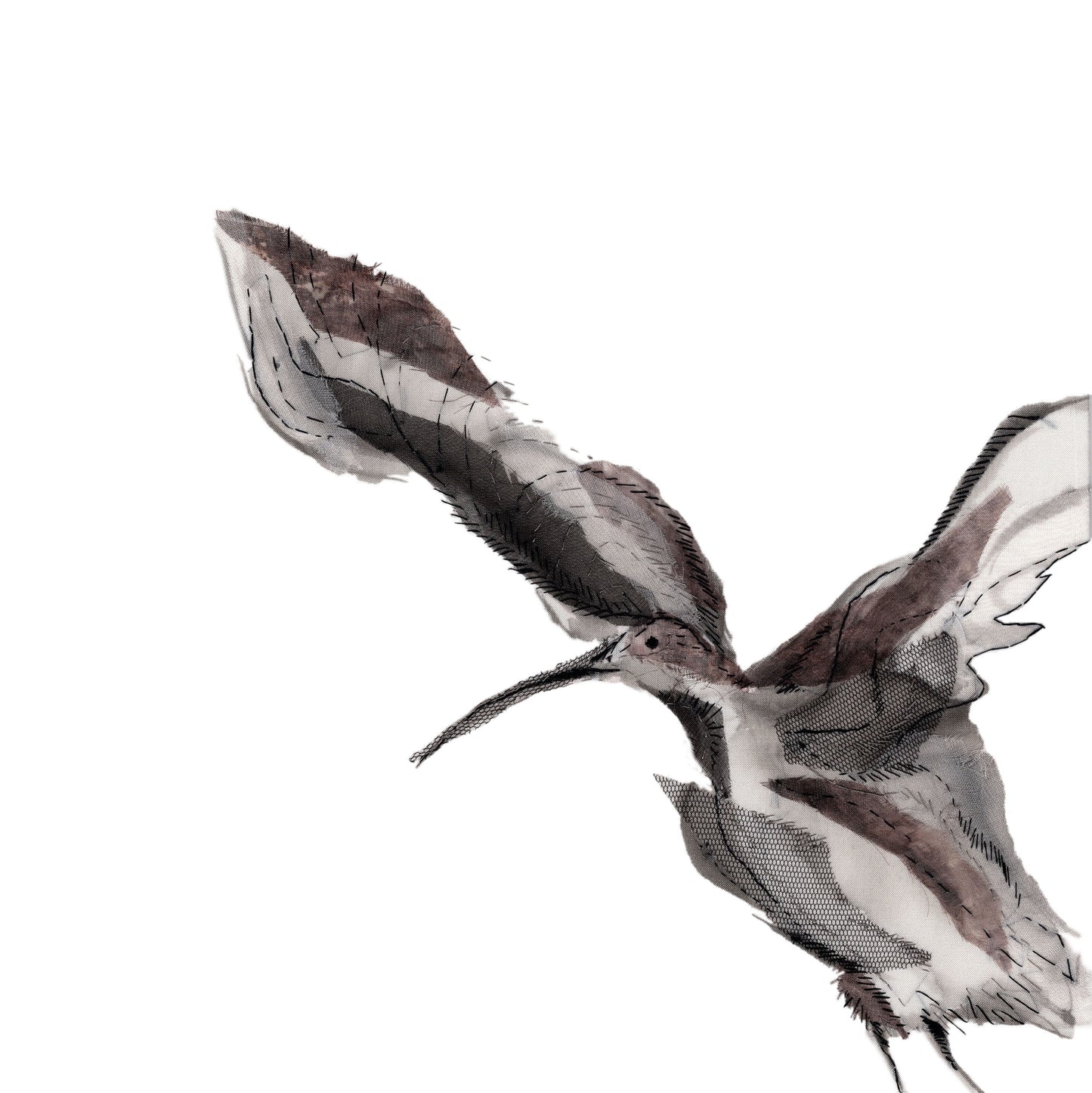 Curlew Collection Curlew Takes Flight - Greeting Card