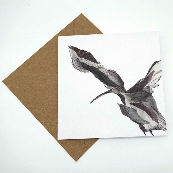 Curlew Collection Curlew Takes Flight - Greeting Card