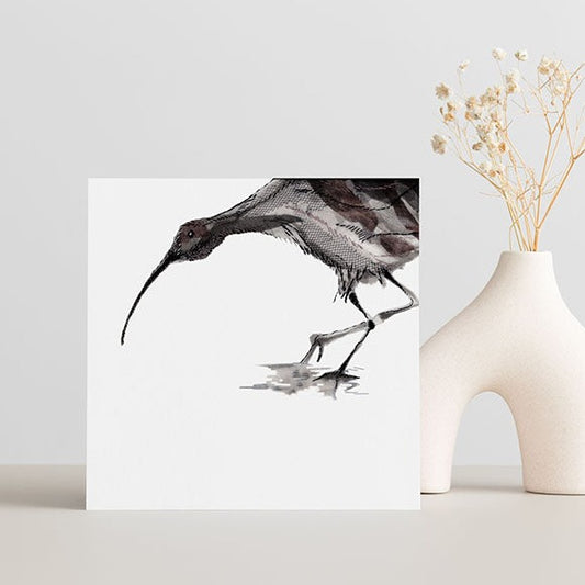 Curlew Collection Take a Bow - Greeting Card
