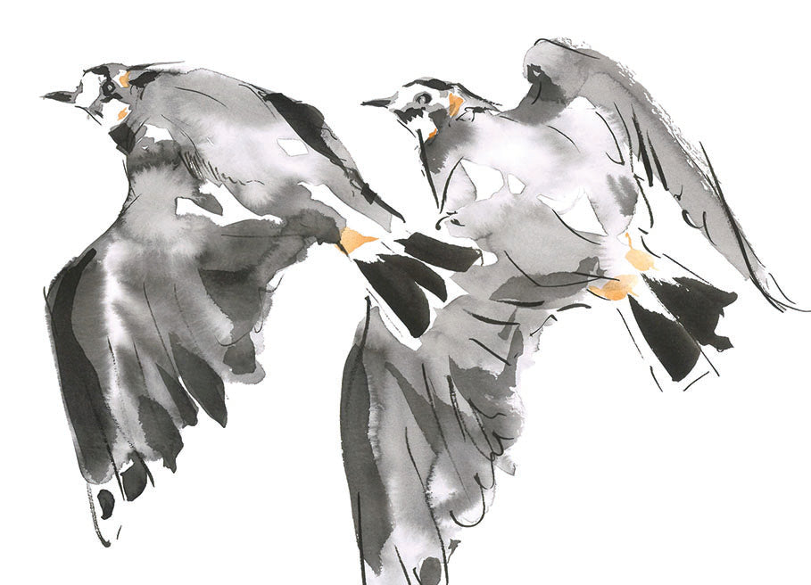 Lapwings in Flight Design - Greeting Card