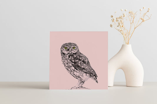 British Owl Collection Little Owl, pink - Greeting Card