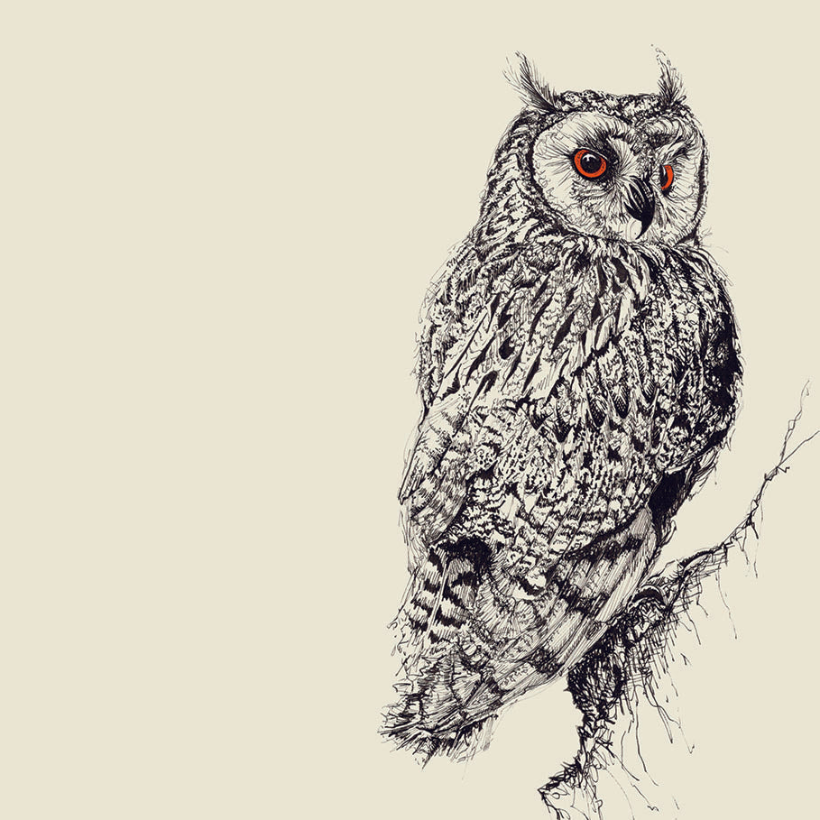 British Owl Collection Long Eared Owl, stone - Greeting Card