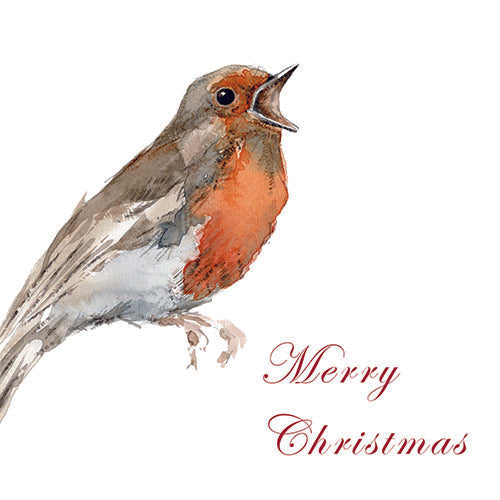 Christmas Robin Singing - Greeting Card