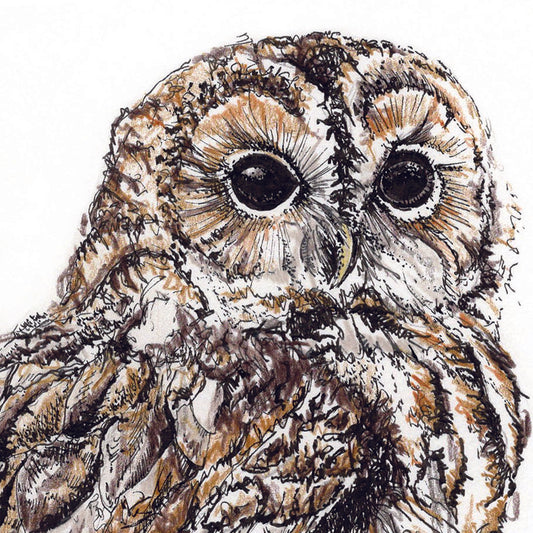 British Owl Collection Tawny Owl, white - Greeting Card