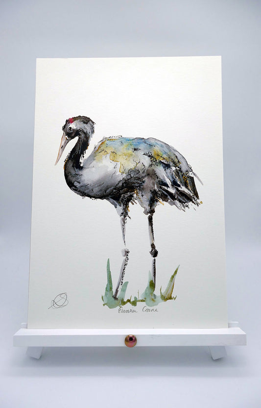 Eurasian Crane 1 - A4 Art Print