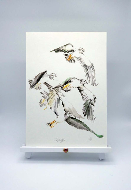 Lapwings in Flight - A4 Art Print