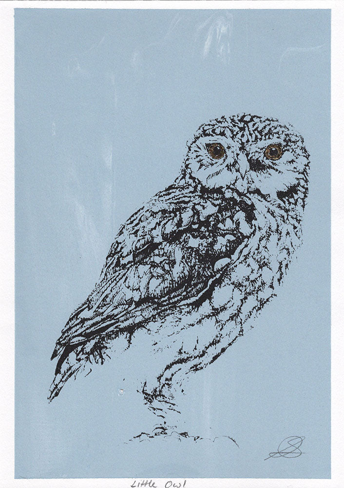 Little Owl - Screenprint