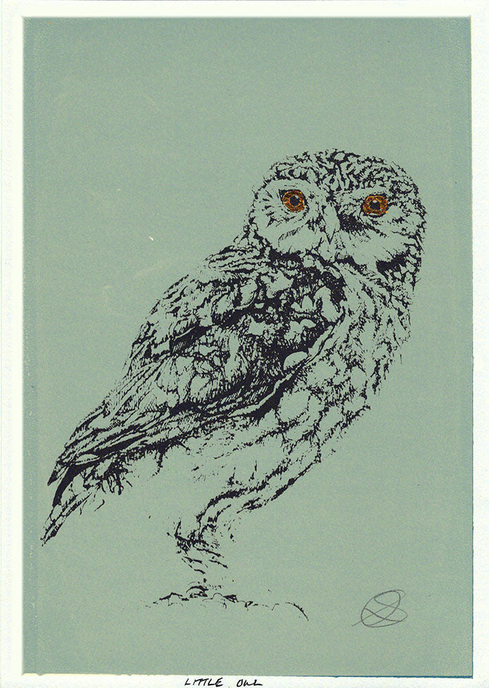 Little Owl - Screenprint