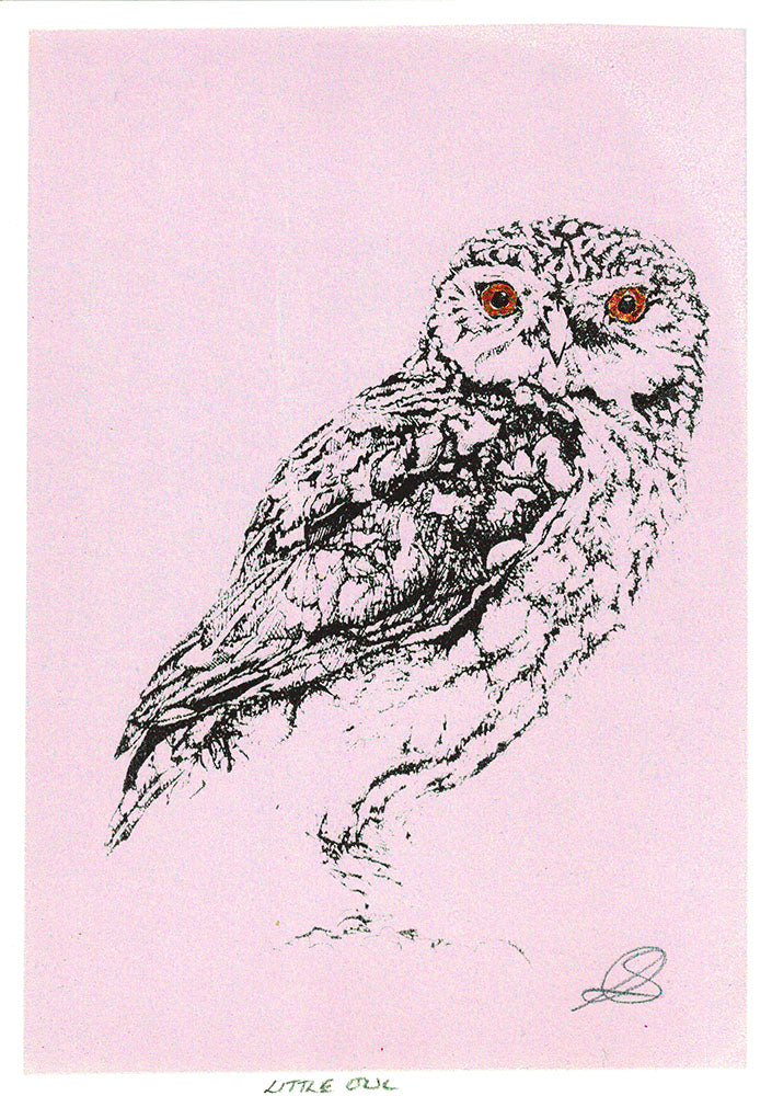 Little Owl - Screenprint