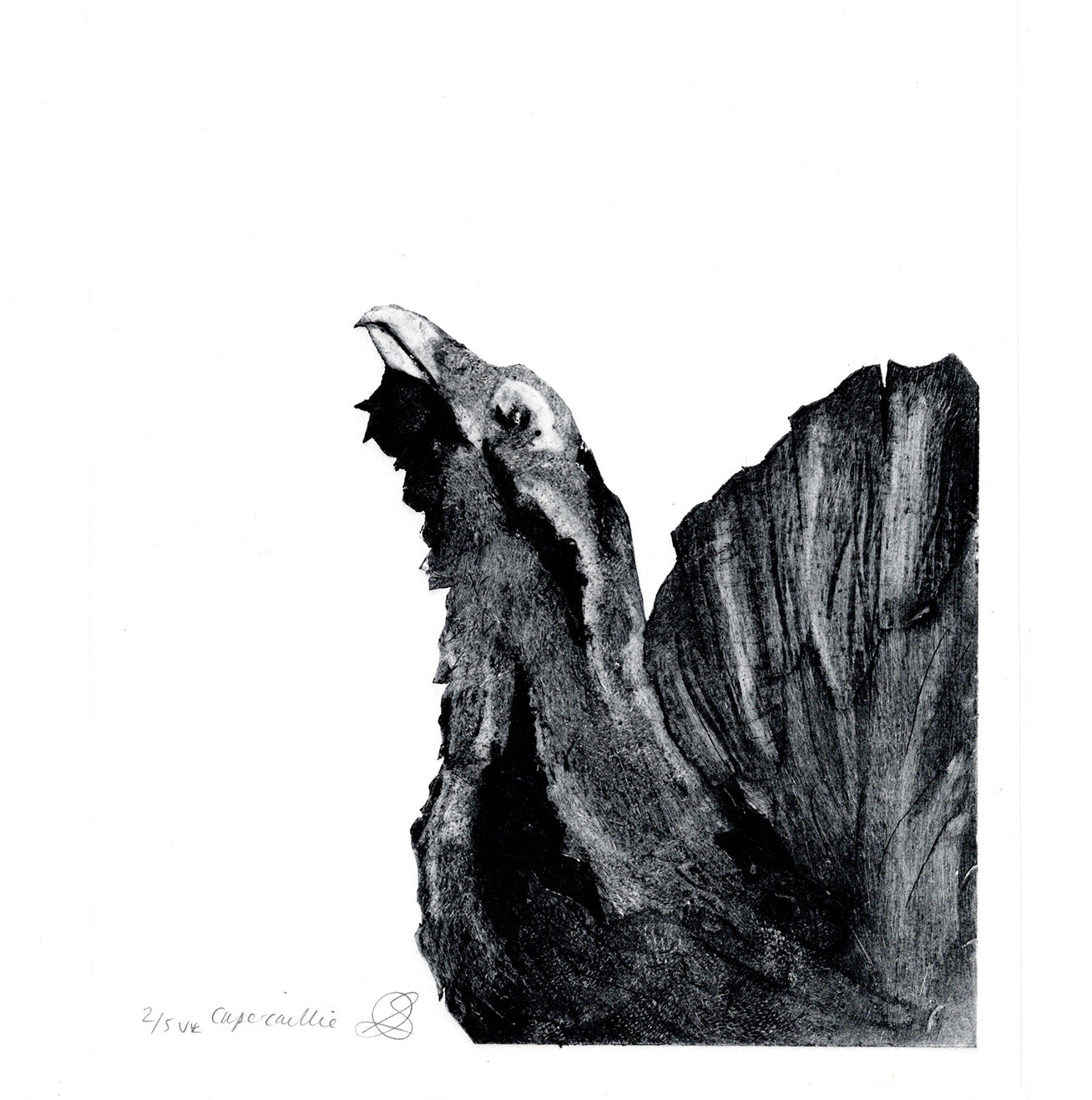 Capercaillie Collagraph - Handmade print