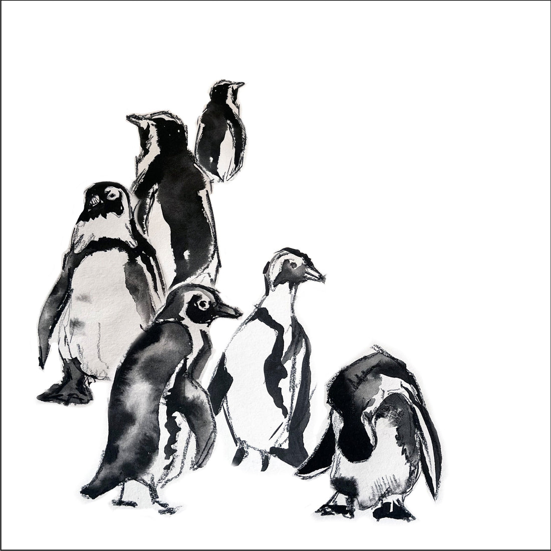 Help the African Penguin - Penguin Fundraiser Auction Coming Soon