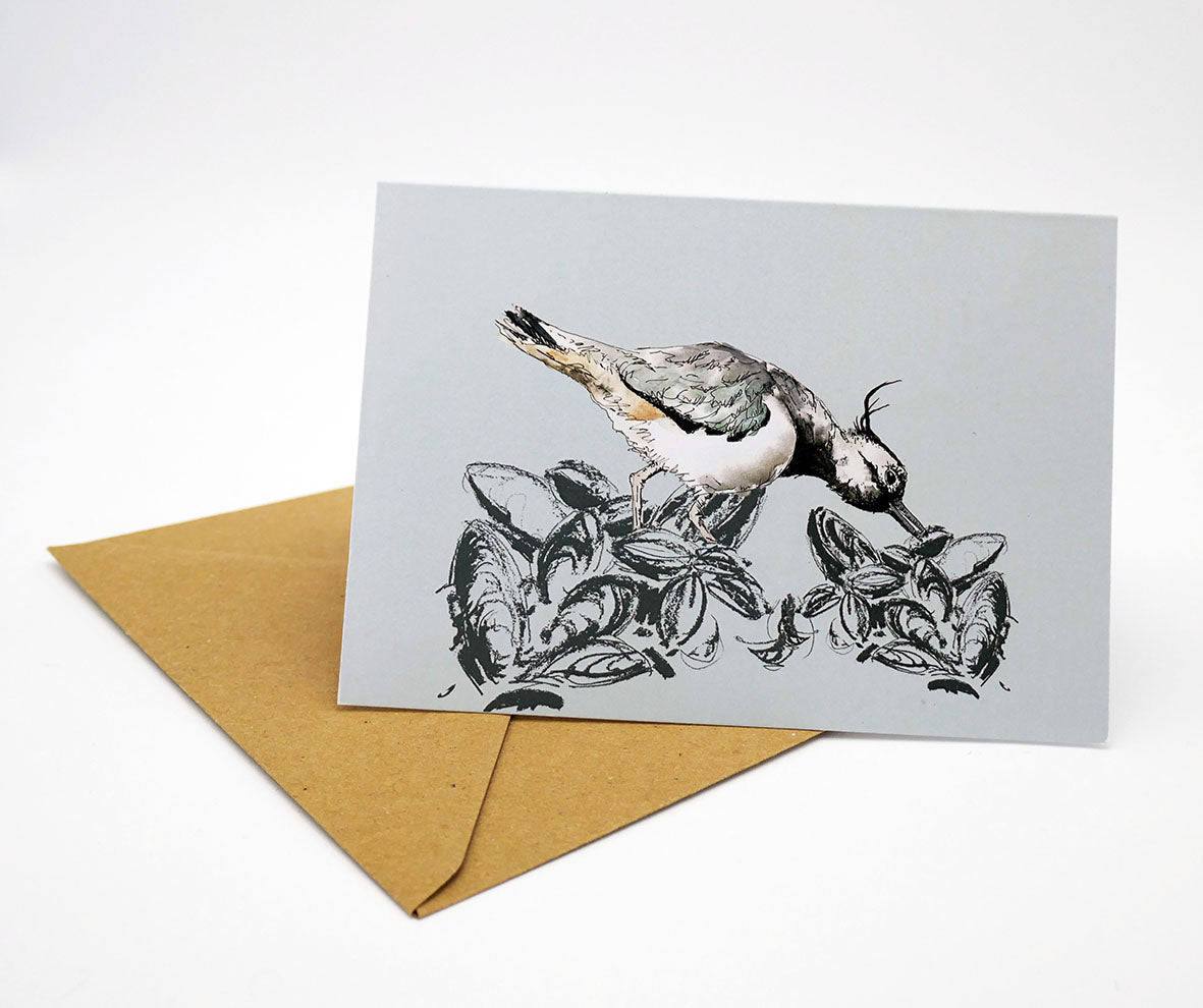 Lapwing Feeding Design Greeting Card