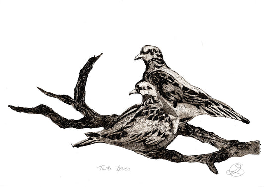 Turtle Dove Pair Collagraph - Handmade print