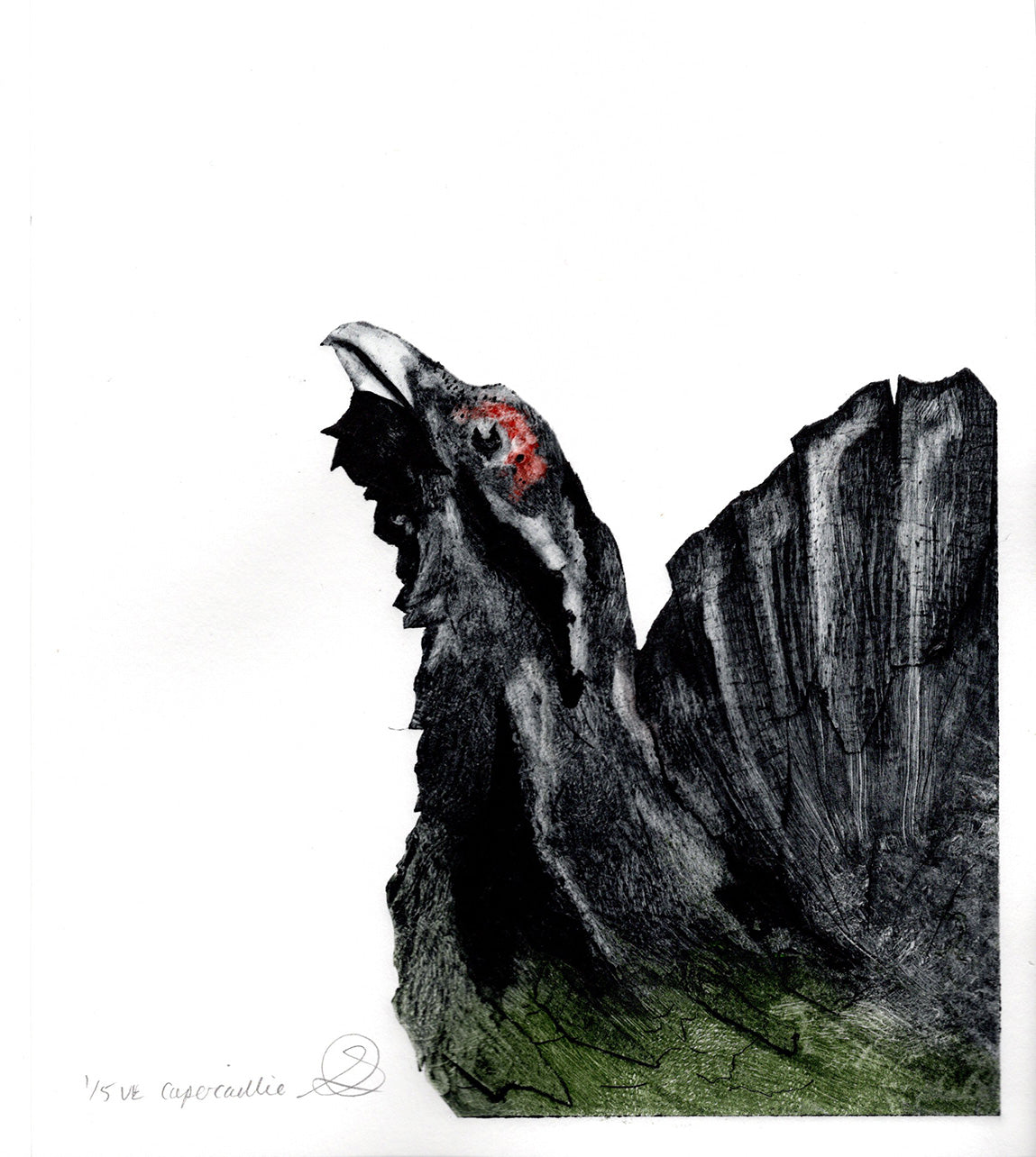 Capercaillie Collagraph - Handmade print