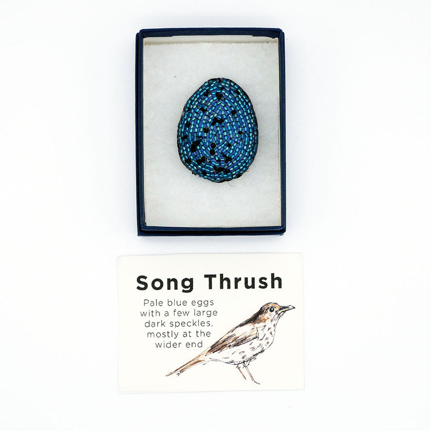 Beaded Egg Brooch - Song Thrush