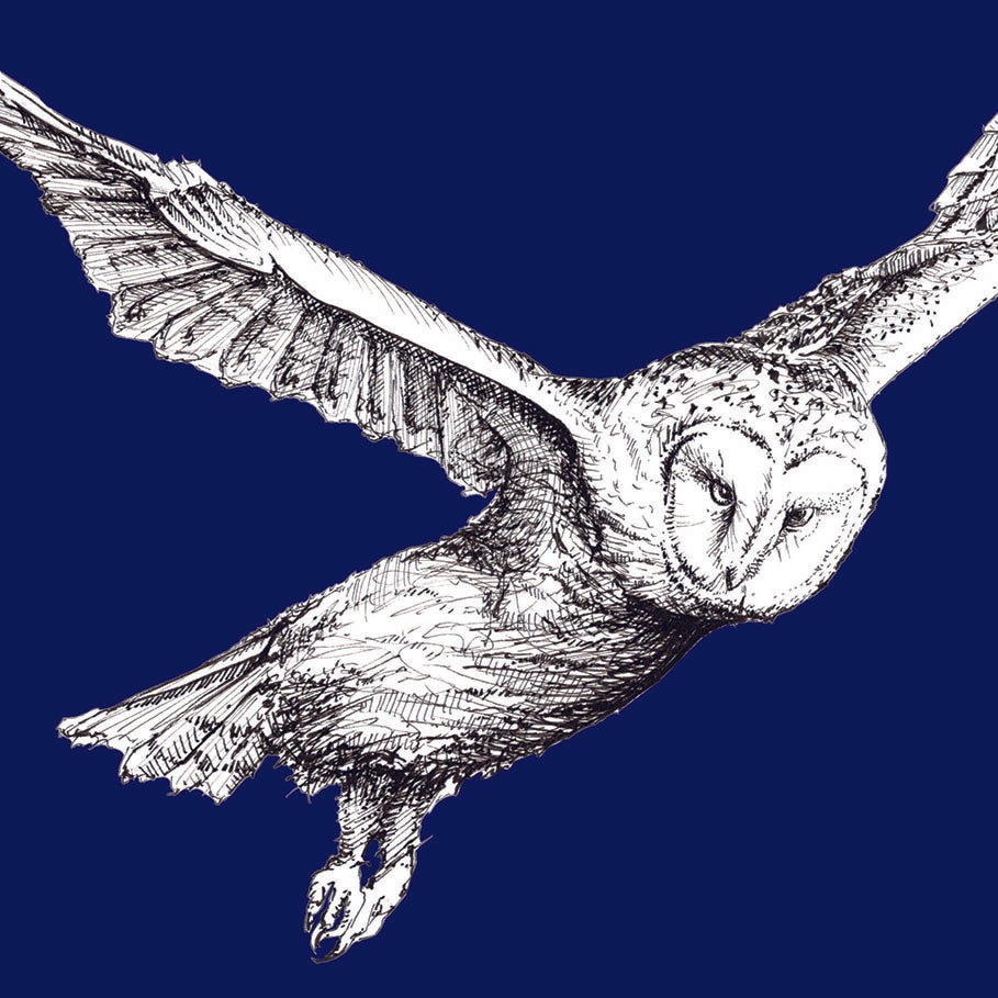 British Owl Collection Barn Owl, dark blue - Greeting Card