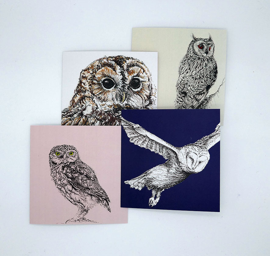 British Owl Collection Little Owl, pink - Greeting Card