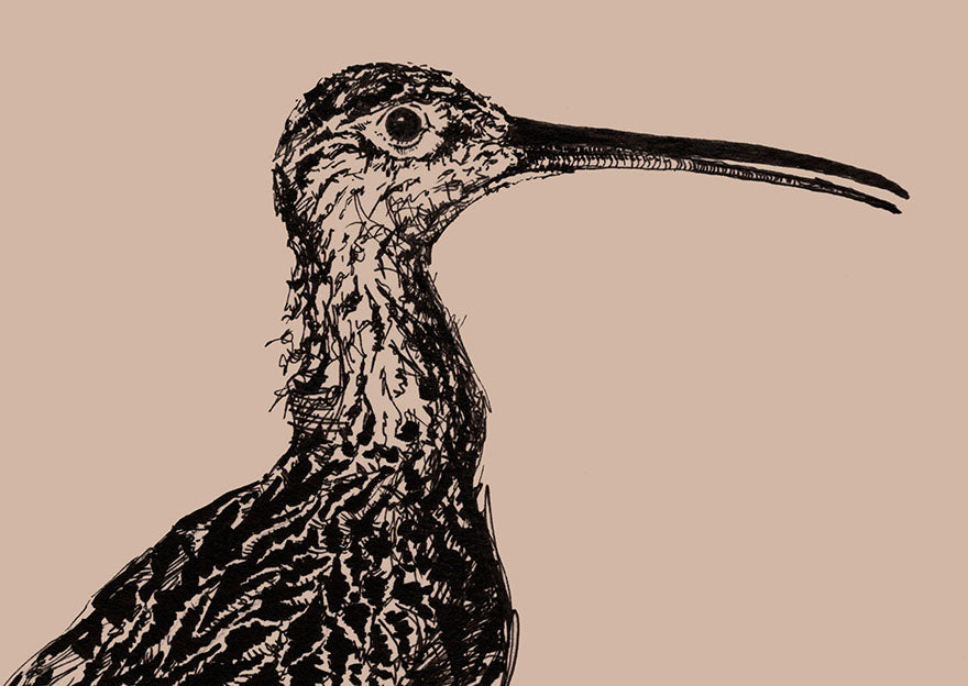 Curlew Design - Greeting Card