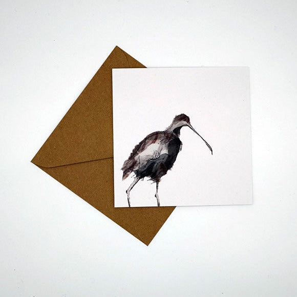 Curlew Collection Curlew Shows His Face - Greeting Card