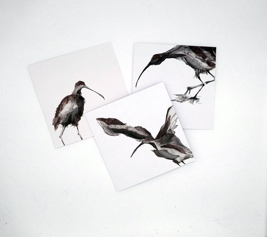 Curlew Collection Curlew Shows His Face - Greeting Card