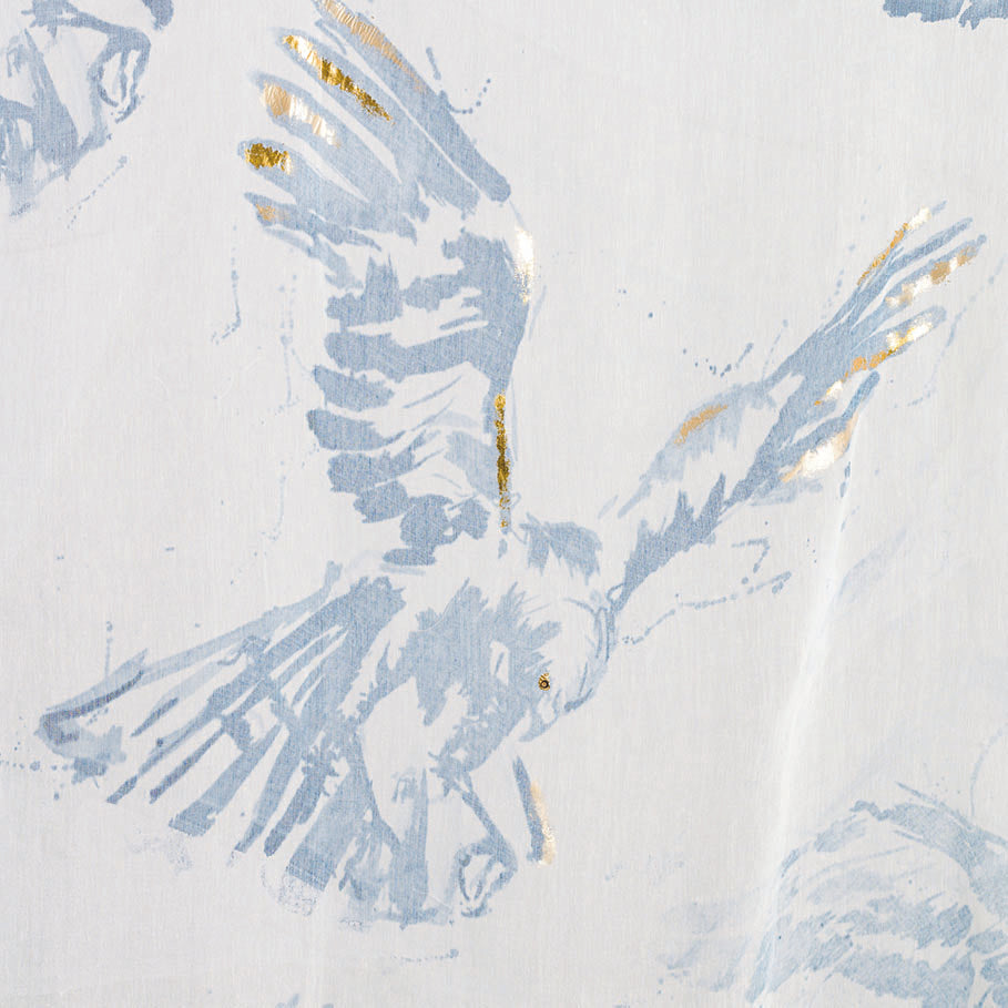 Hen Harrier Collection Fading Away - Greeting Card