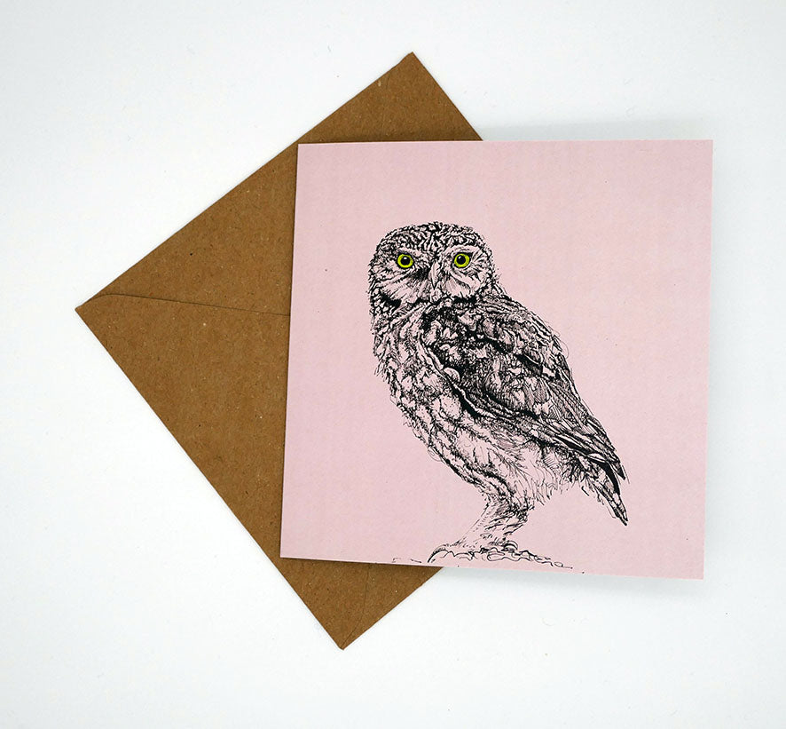 British Owl Collection Little Owl, pink - Greeting Card