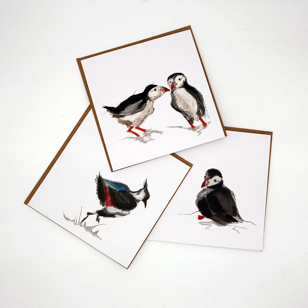 Puffin Sitting - Greeting Card