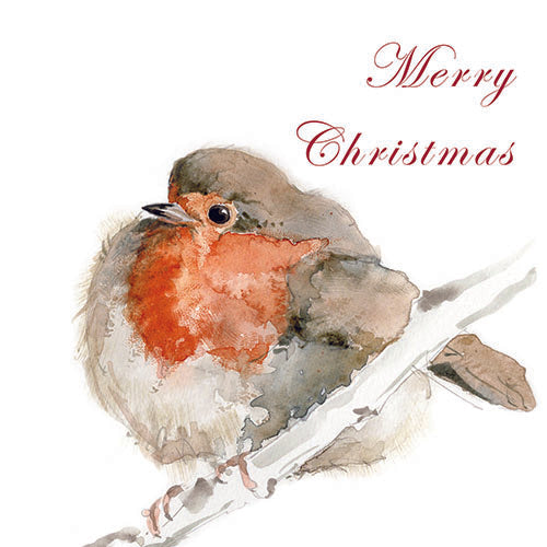 Christmas Robin On a Branch - Greeting Card