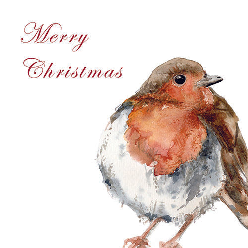 Christmas Robin Standing - Greeting Card