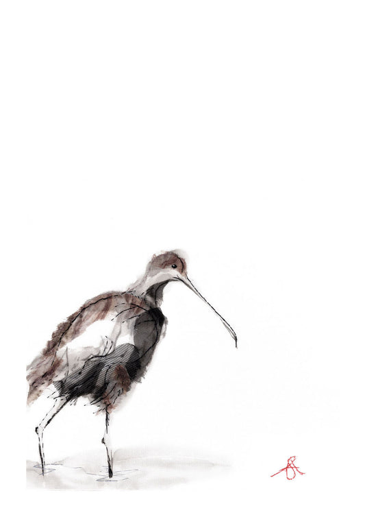 Curlew Shows His Face - A4  Giclée Print