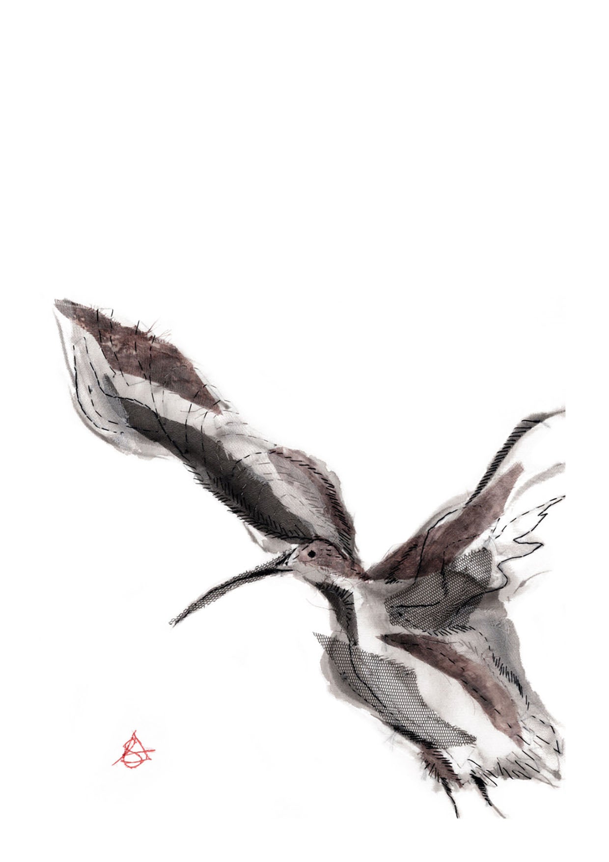 Curlew Takes Flight - A4  Giclée Print