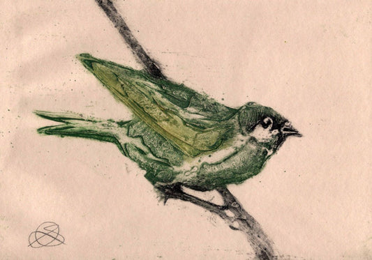 Greenfinch Collagraph No. 2 - Handmade print