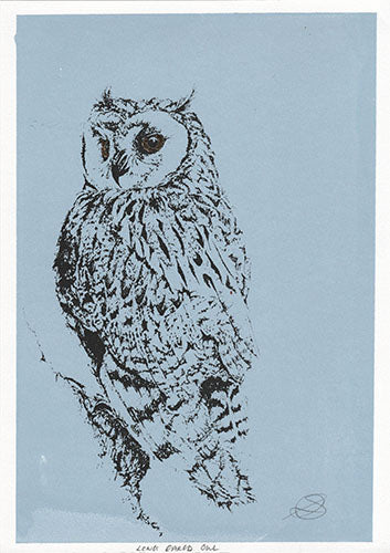 Long Eared Owl - Screenprint