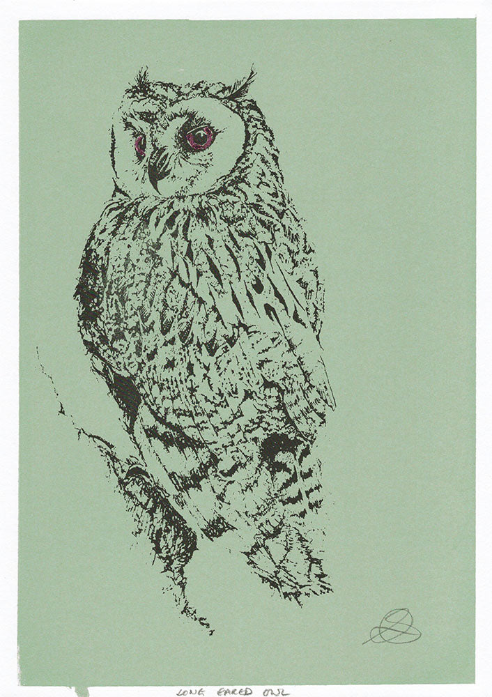 Long Eared Owl - Screenprint