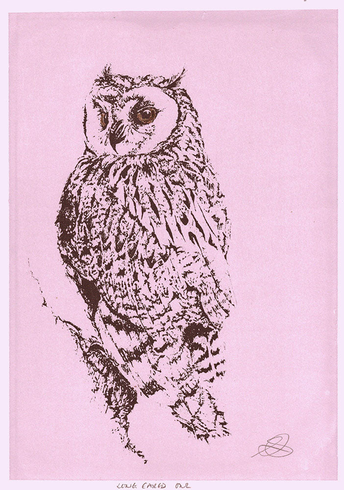 Long Eared Owl - Screenprint