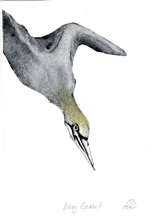 Diving Gannet Collagraph - Handmade print