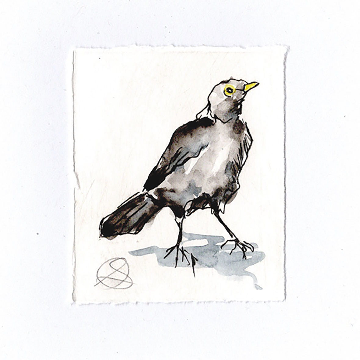 Blackbird - Hand Printed Greeting Card