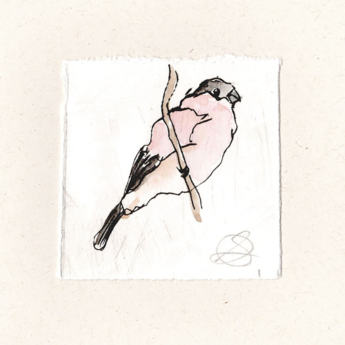 Bullfinch 2 - Hand Printed Greeting Card