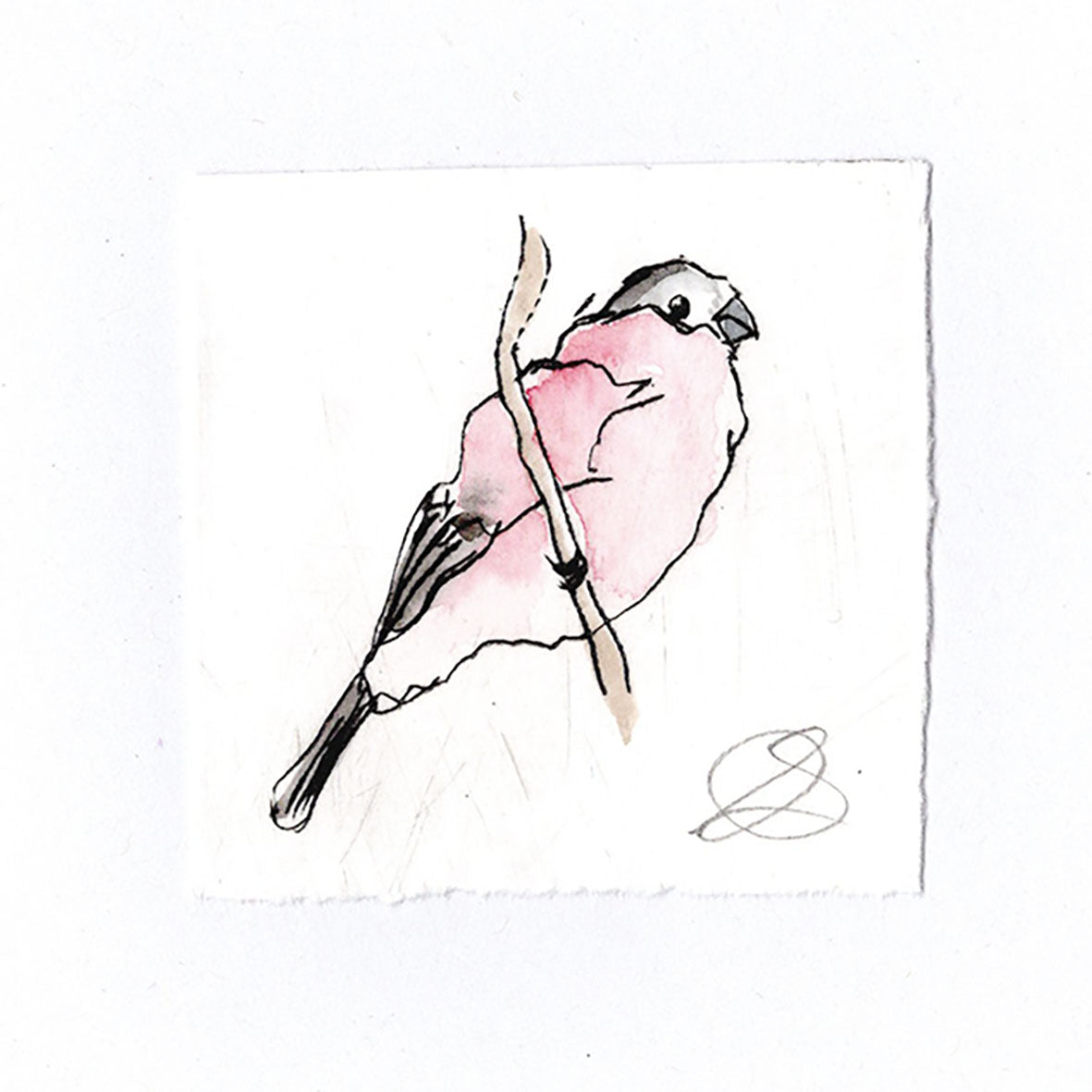 Bullfinch 2 - Hand Printed Greeting Card