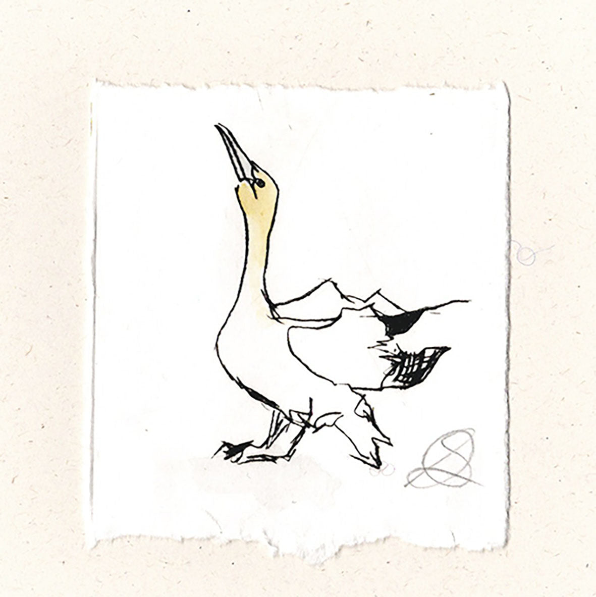 Gannet - Hand Printed Greeting Card