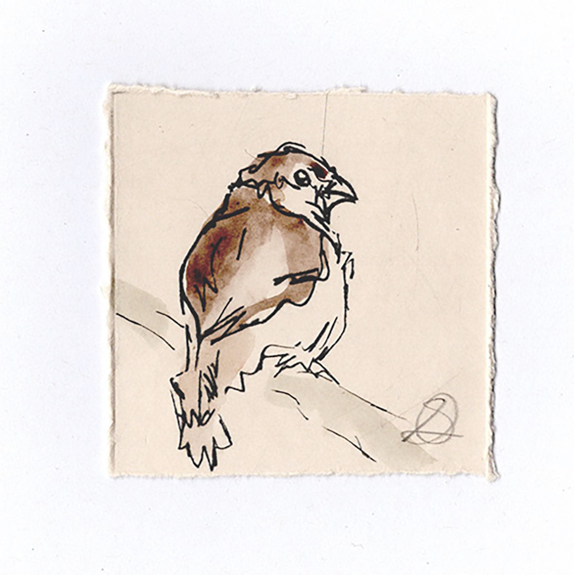 Sparrow - Hand Printed Greeting Card