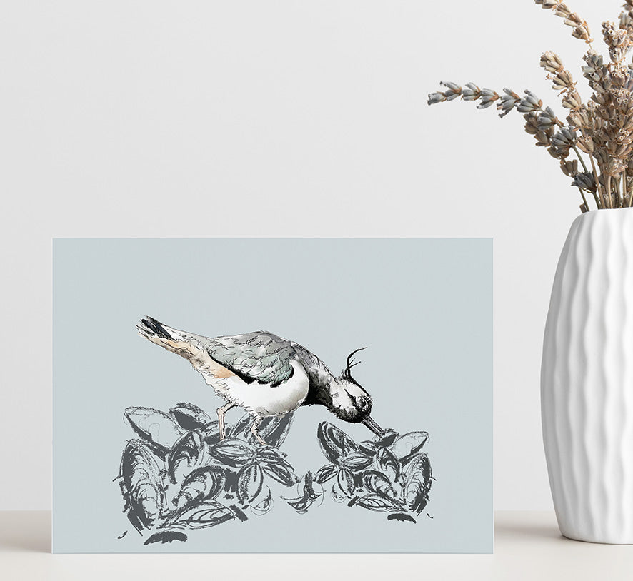 Lapwing Feeding Design - Greeting Card