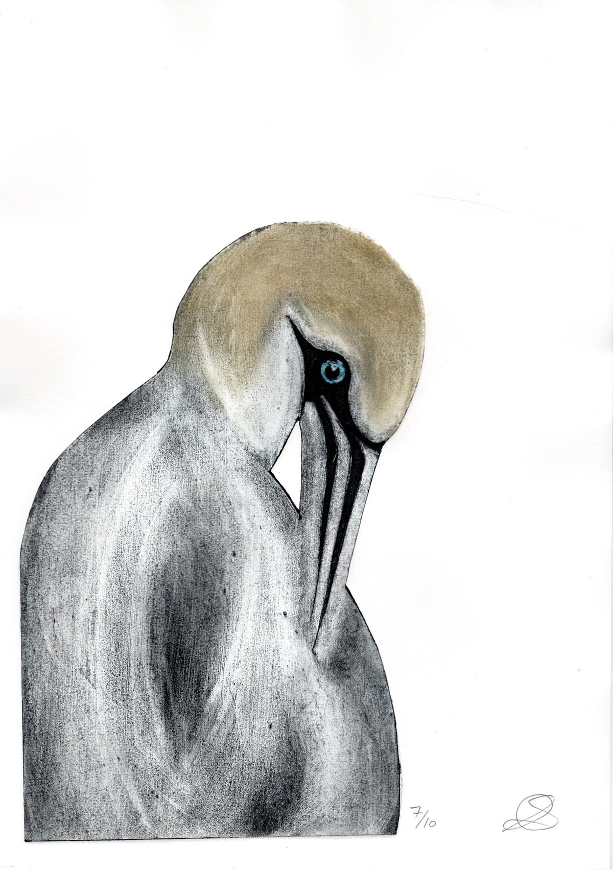 Gannet Collagraph - Handmade print